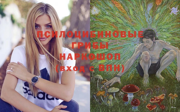 а пвп мука Белокуриха