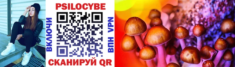 Галлюциногенные грибы Cubensis  Верещагино 